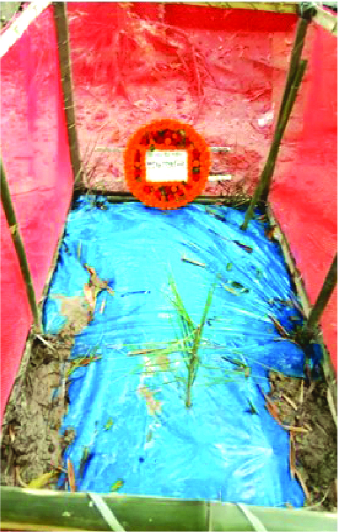 Image of নাফিসা হোসেন মারওয়া
